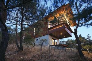 耐候钢属于什么材料？